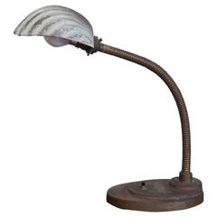 Shell Desk Lamp