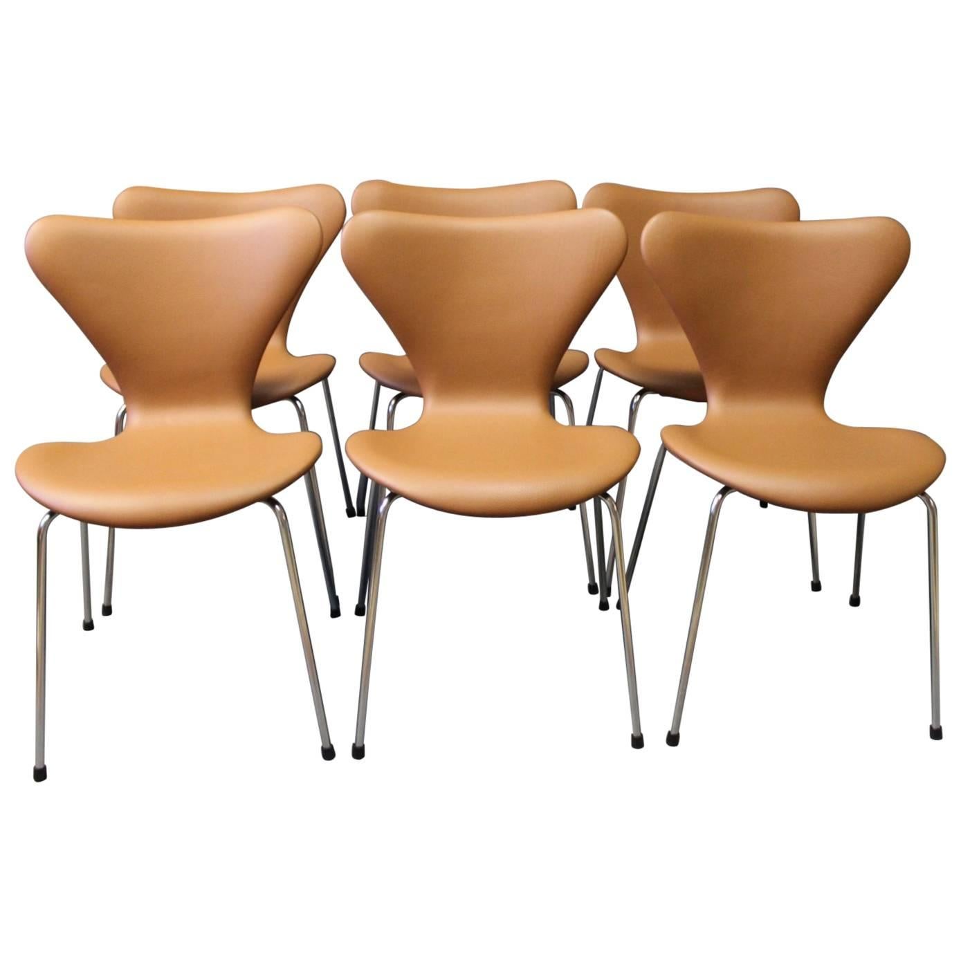 Set of Six Chairs, Model 3107, by Arne Jacobsen and Fritz Hansen