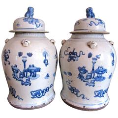 Chinese Blue and White Porcelain Ginger Jars, Pair 1