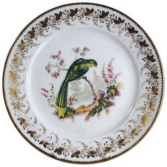 Antique London-Decorated Paris Porcelain Plate, Probably by Thomas Randall 7