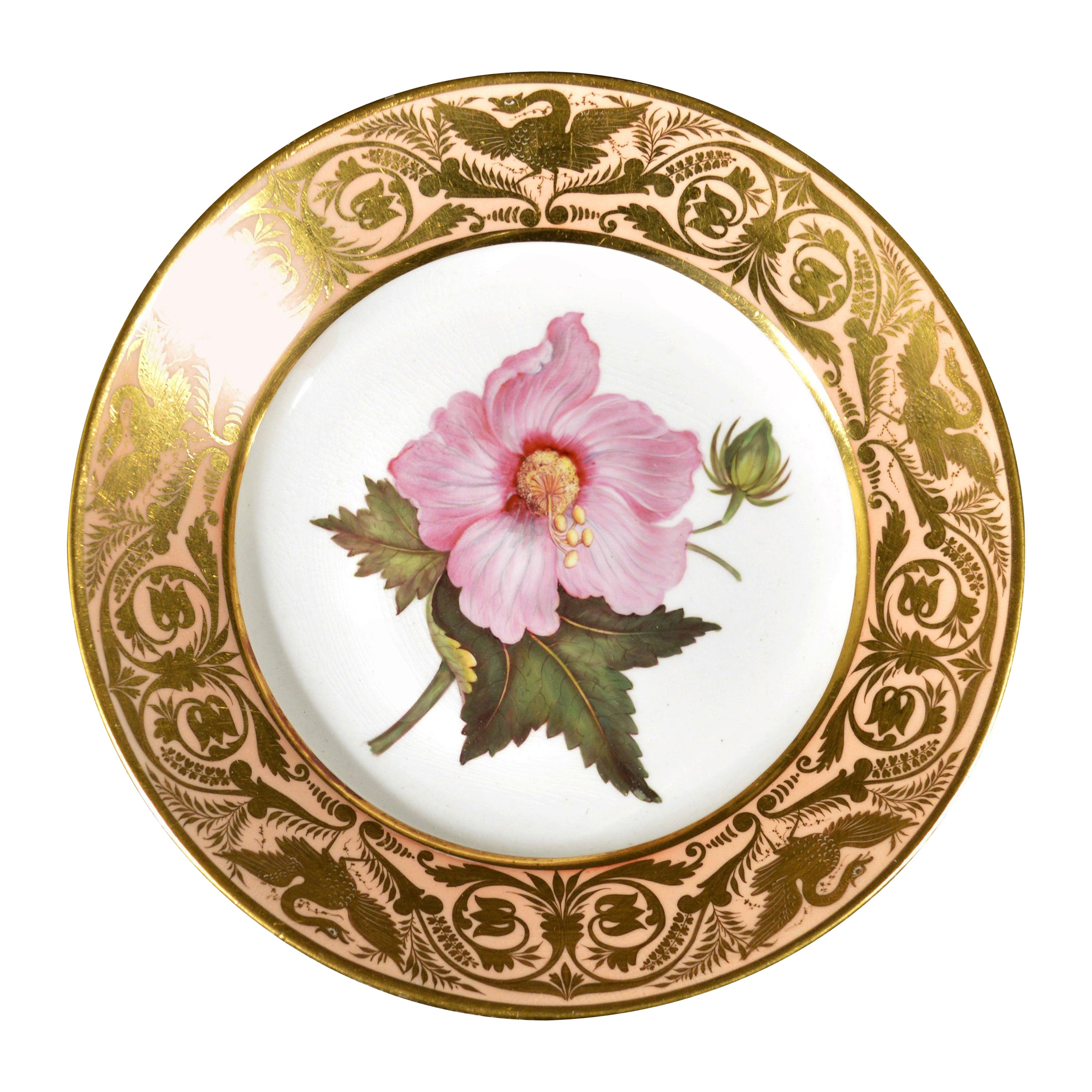 Derby Porcelain Salmon Ground Plate, Marsh Hibiscus, after William Curtis