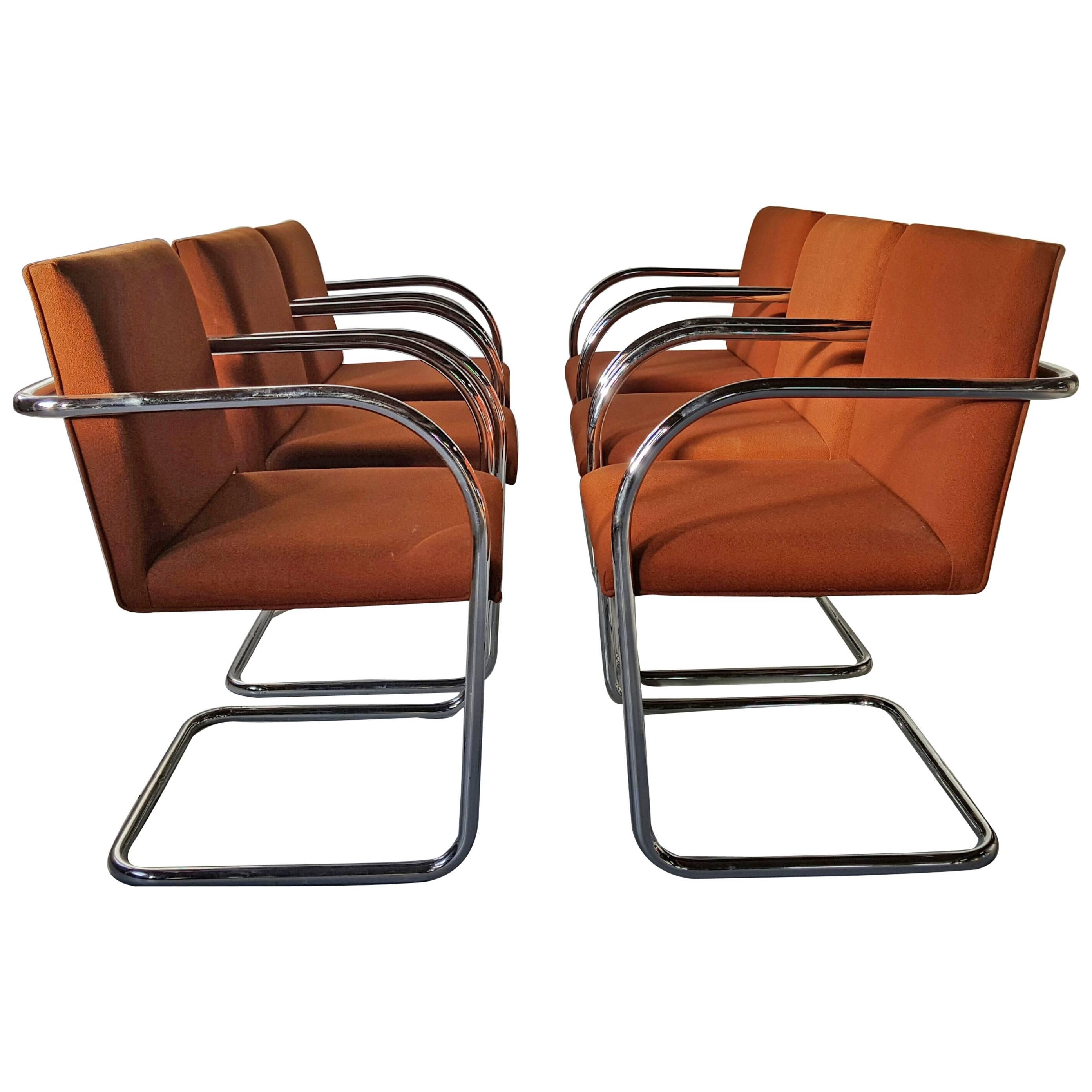 Set of 12 Classic Brno Cantilever Armchairs, Mies Van Der Rohe /Lilly Reich