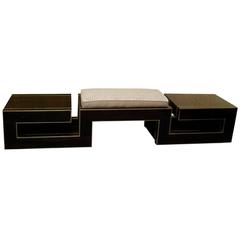 Very Nice Pouf in Macassar and Brass 3