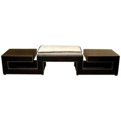 Very Nice Pouf in Macassar and Brass 9