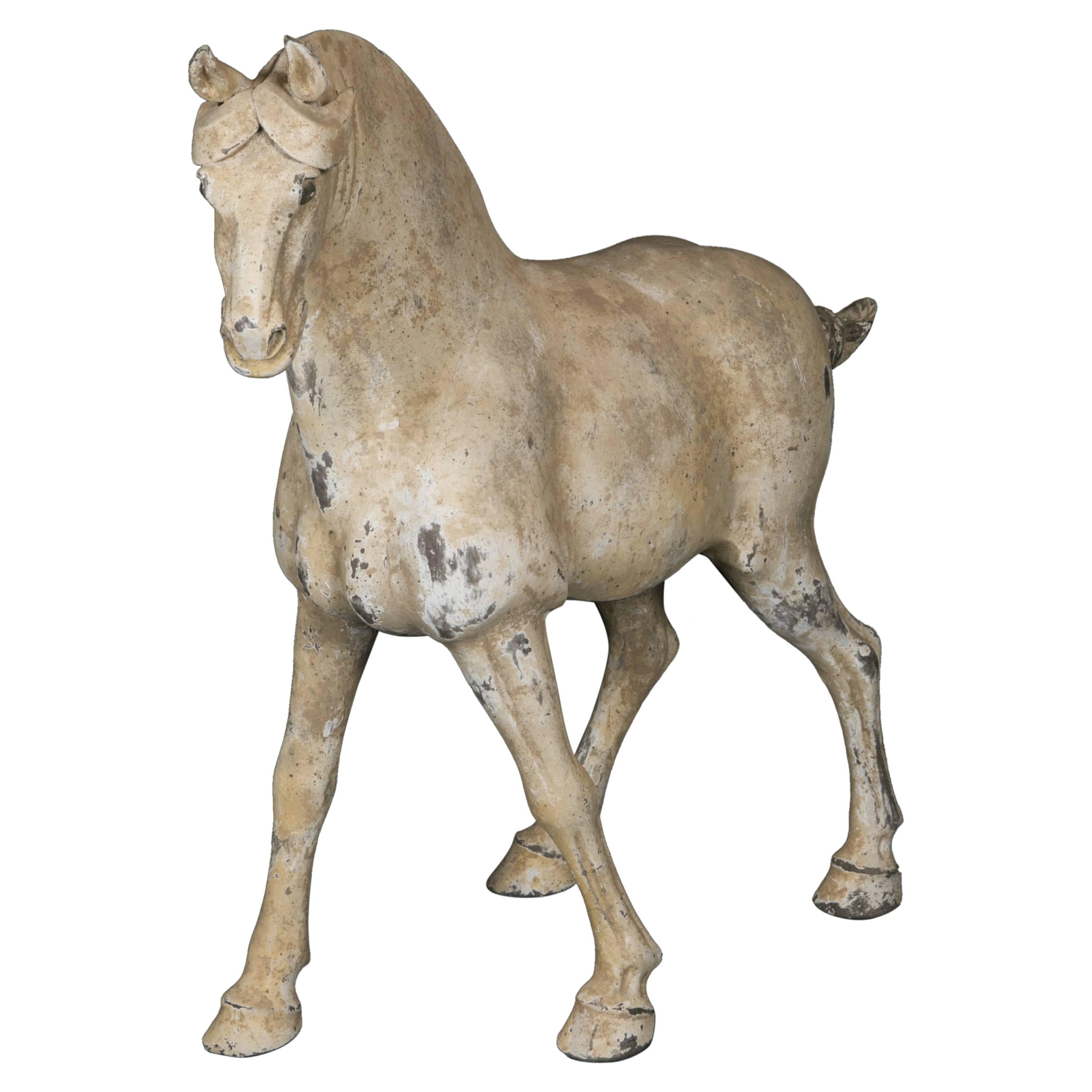 Terracotta Horse, Dynastie Tang, 'AD 618- AD 907' For Sale