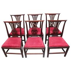 Set of Six English George III Mahogany Dining Chairs
