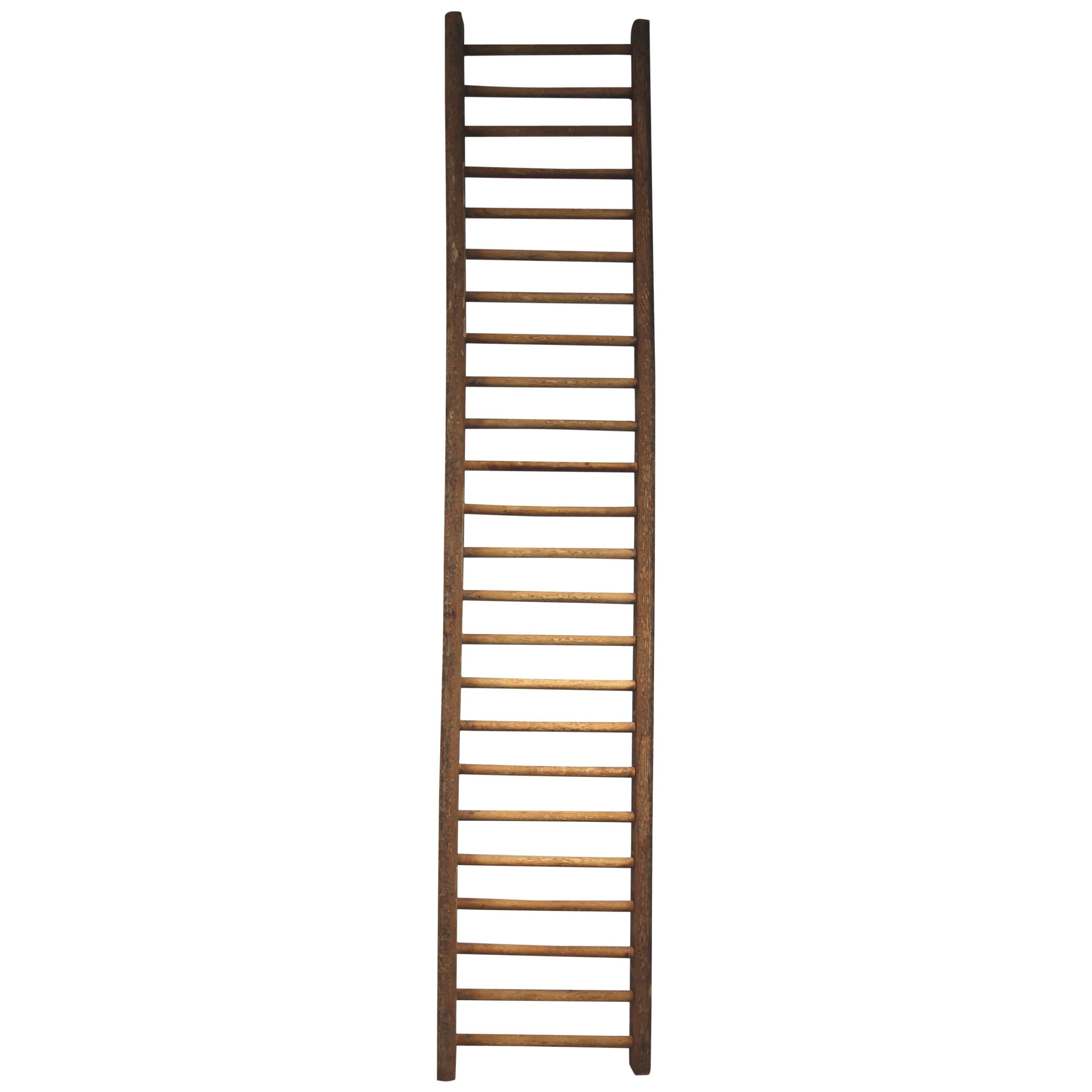 Small Herb Drying Ladder, American, Early 20th Century