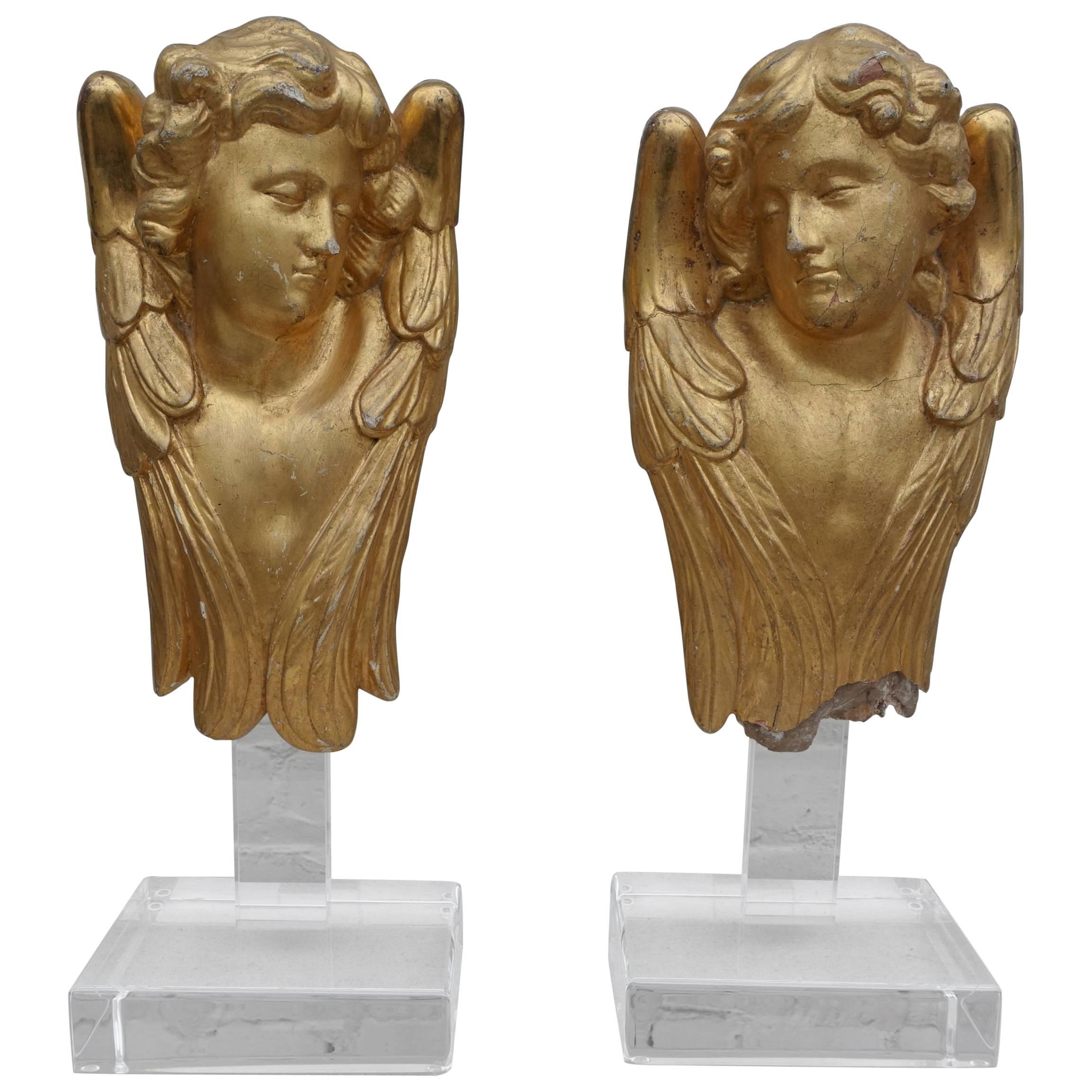 Pair of 19th Century Gold Leaf Cherubs on Lucite Bases