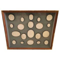Handsome Collection of Grand Tour Intaglios in Custom Shadow Box 1