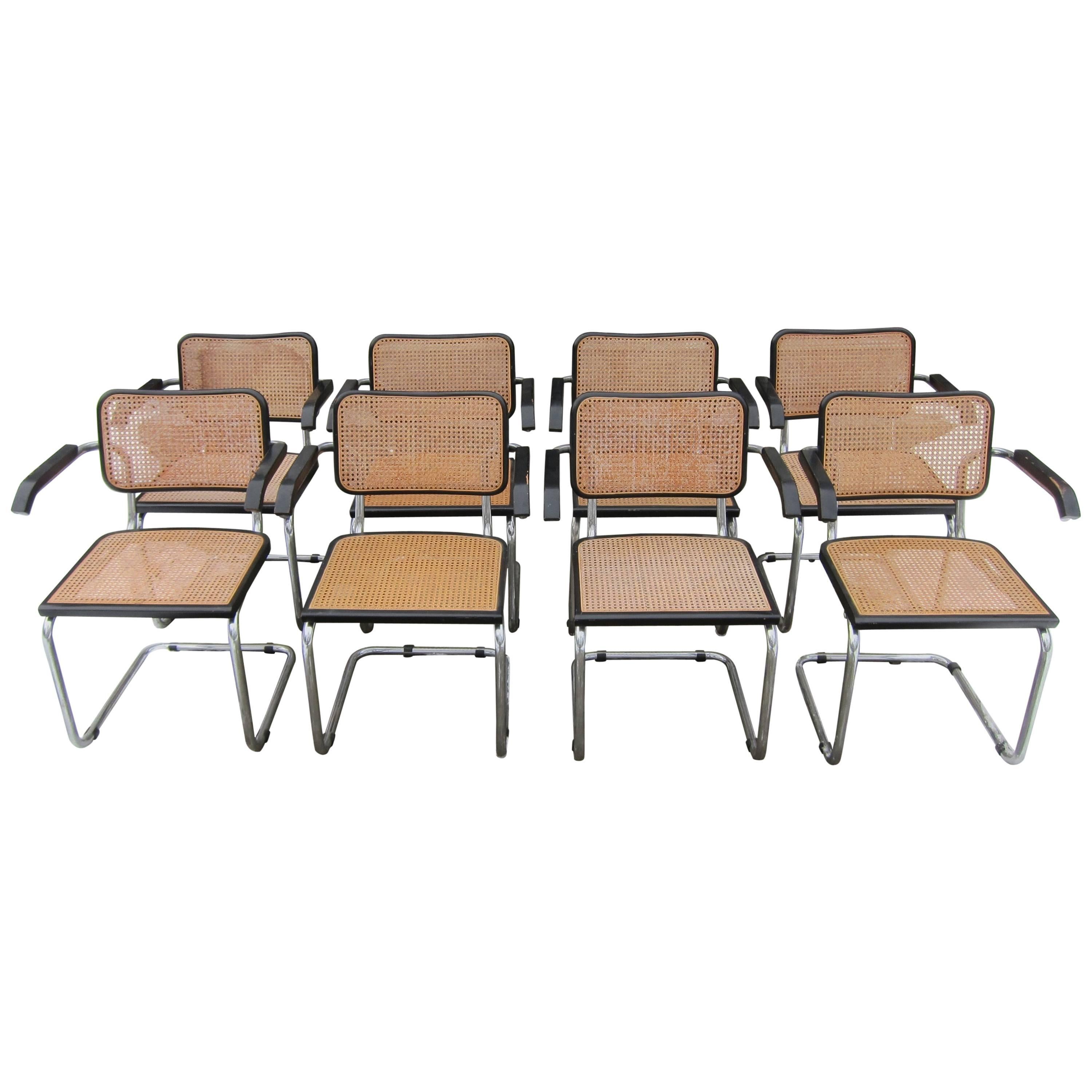 Eight Marcel Breuer Cesca Italian replica Dining Armchairs