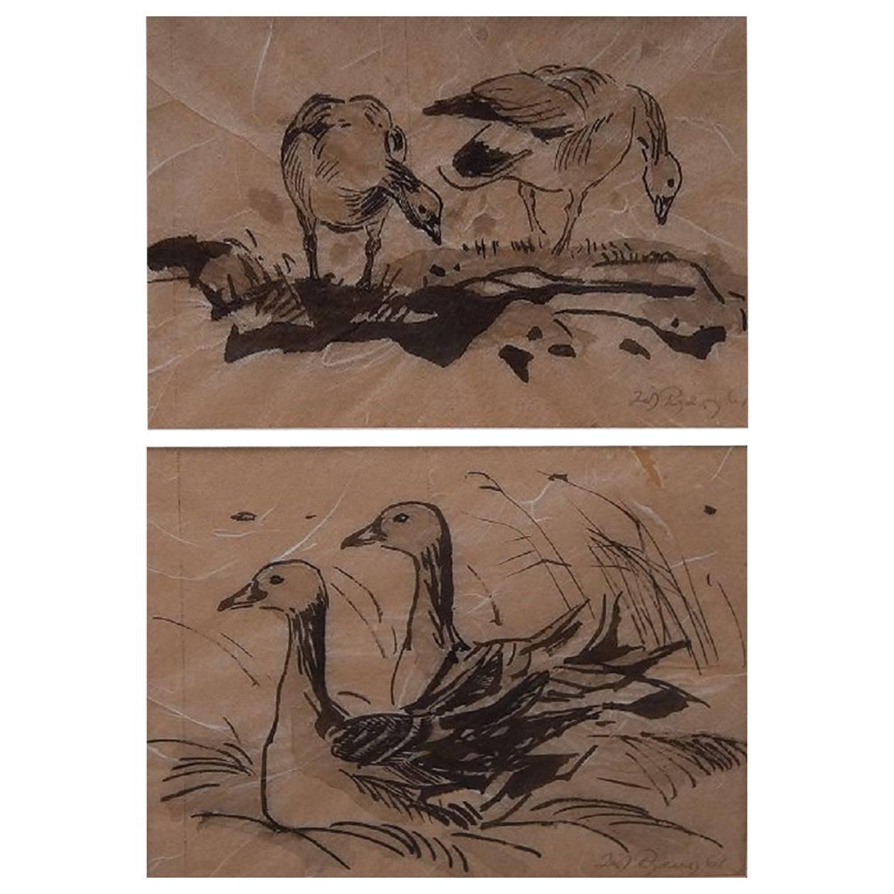 Leif Rydeng, Well Listed Danish Artist, Two Bird Studies For Sale