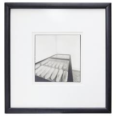 Joan Fontcuberta Photography "Conills de Mendel" 7