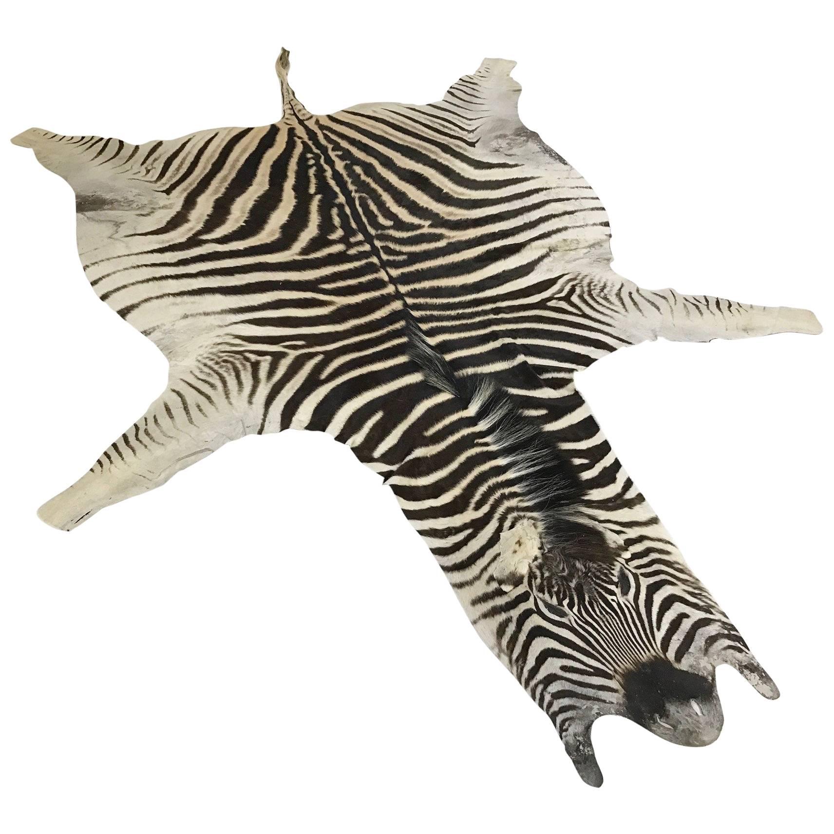 Zebra Hide Rug