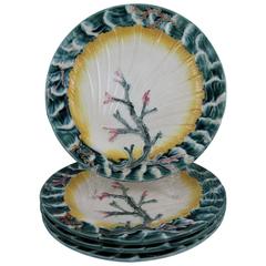 19th Century Josiah Wedgwood Majolica Ocean, Shell and Seaweed Plates, S/4