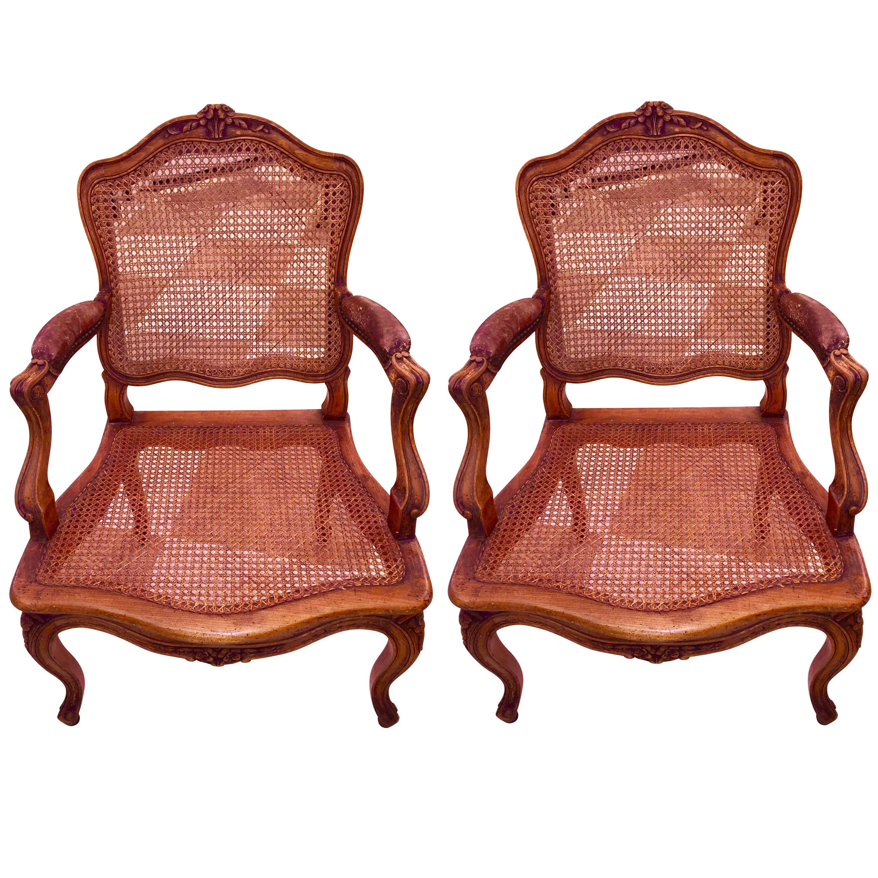 Pair of 19th Century French Louis V Style Fruitwood Armchairs