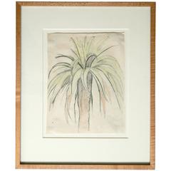 Antique Original Drawing by Joseph Stella, Palm Tree