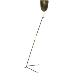 Mid-Century Modern Brass Floor Lamp, Austria, 1950s 3