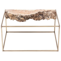 Bronze and Burl Wood Side Table by Huy Bui