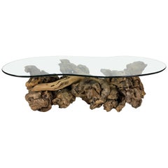 Large Sculptural Driftwood Burl Coffee Table with Free-Form Glass Top