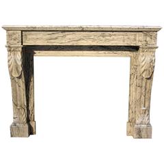 19th Century, French, Louis XVI Bleu Fleuri Marble Fireplace 1
