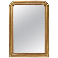 19th Century French Louis Philippe Period Gold Mirror 7