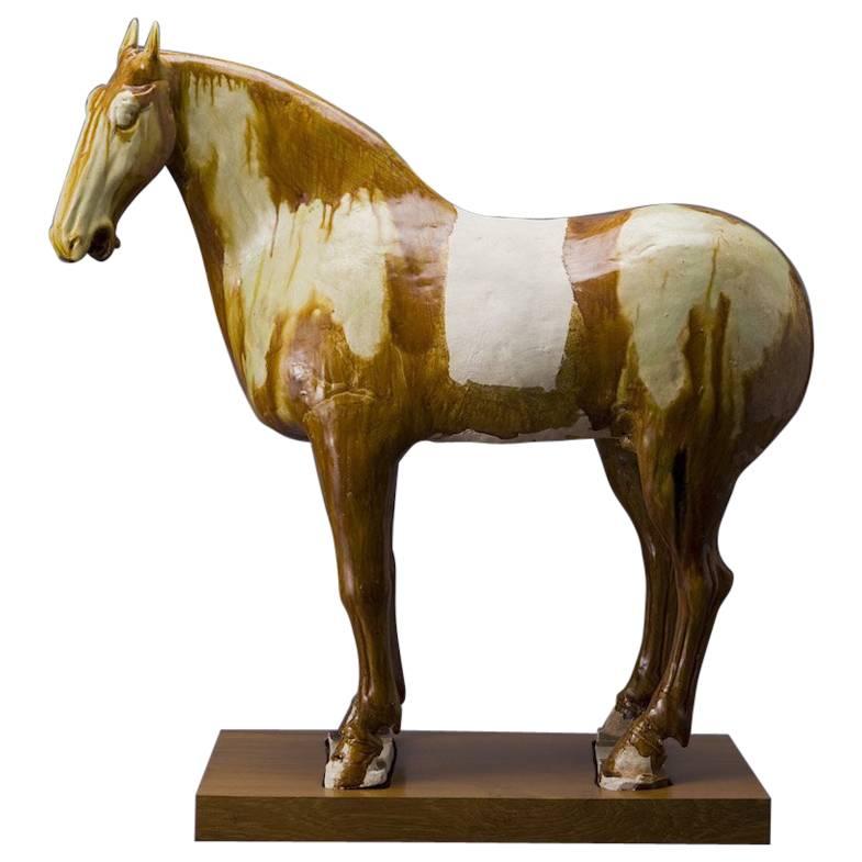  8th Century Tang Dynasty Amber Glazed Horse For Sale