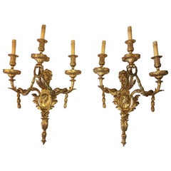 Pair of Neoclassical Style Gilt Bronze Wall Sconces