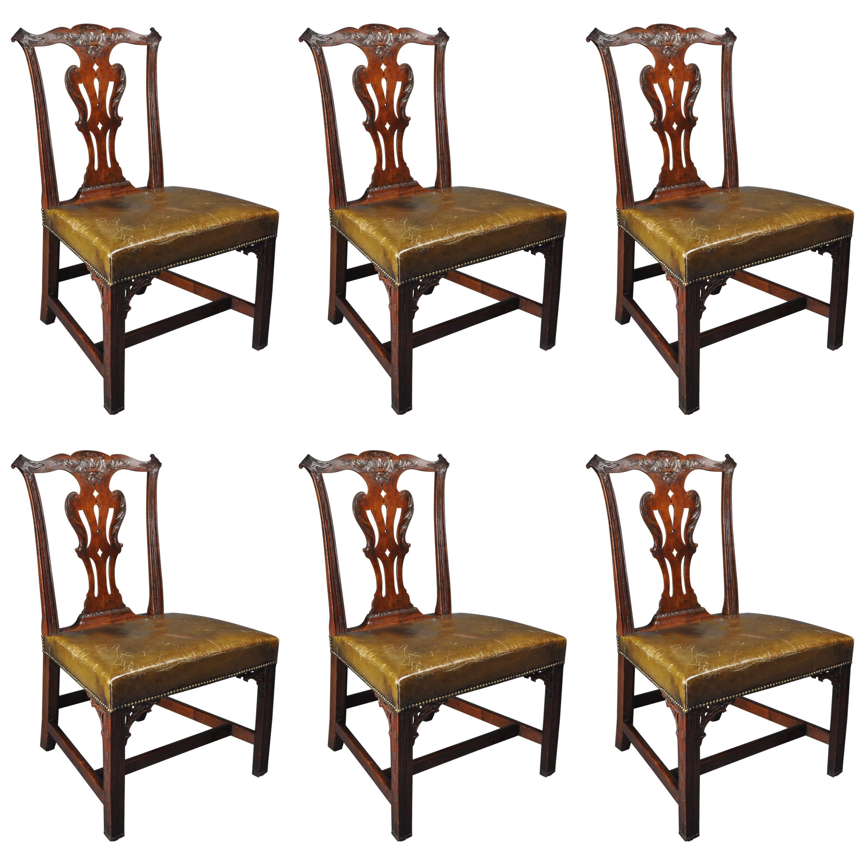 Exceptional Set of Six Chippendale Period Mahogany Dining Chairs For Sale