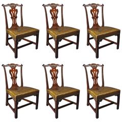 Exceptional Set of Six Chippendale Period Mahogany Dining Chairs