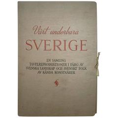 Anders Zorn, Carl Larsson, Prince Eugene, Bruno Liljefors, Gustaf Fjästad etc