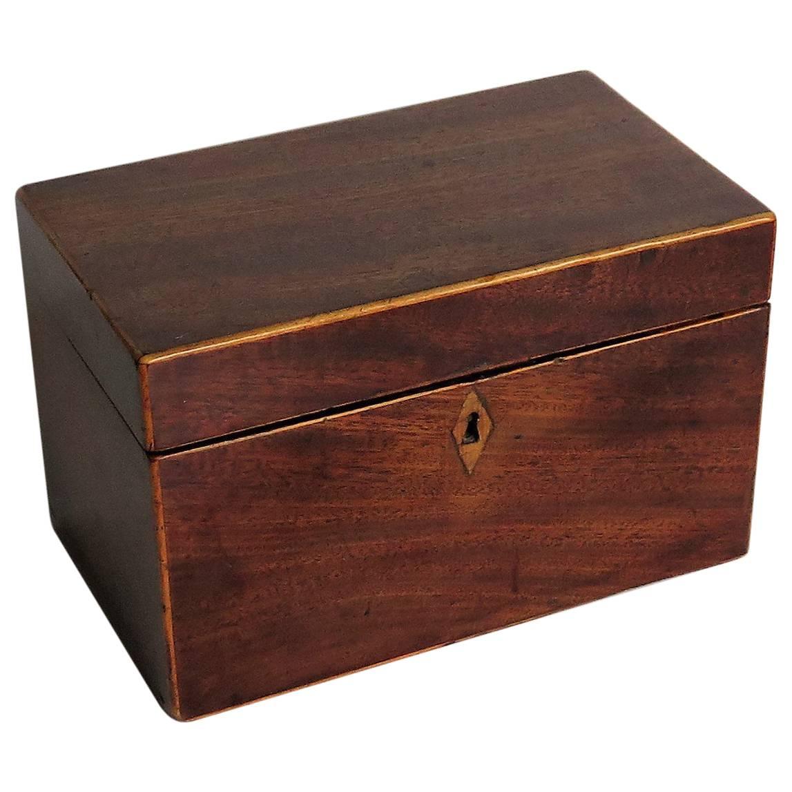 Georgian Tea Caddy Two Compartment, Mahogany with Boxwood Edges, circa 1800