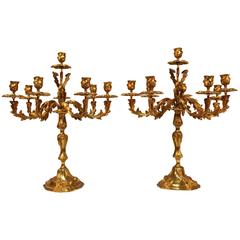 Vintage Large Pair of French Louis XV Style Bronze Candelabra