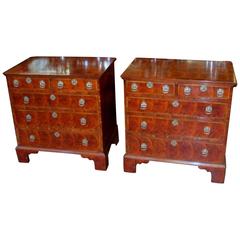 Pair of Antique English Oyster Veneer Queen Anne Revival Bachelor's Chests