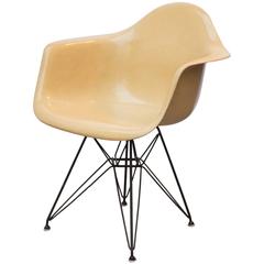 Eames Molded Fiberglass Armchair in Butterscotch 7