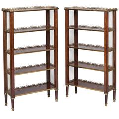 Pair of French Mahogany and Bronze Open Bookcases 9