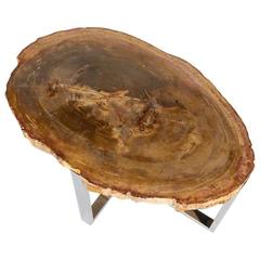 Organic Modern Petrified Wood Table with Custom Chrome Base