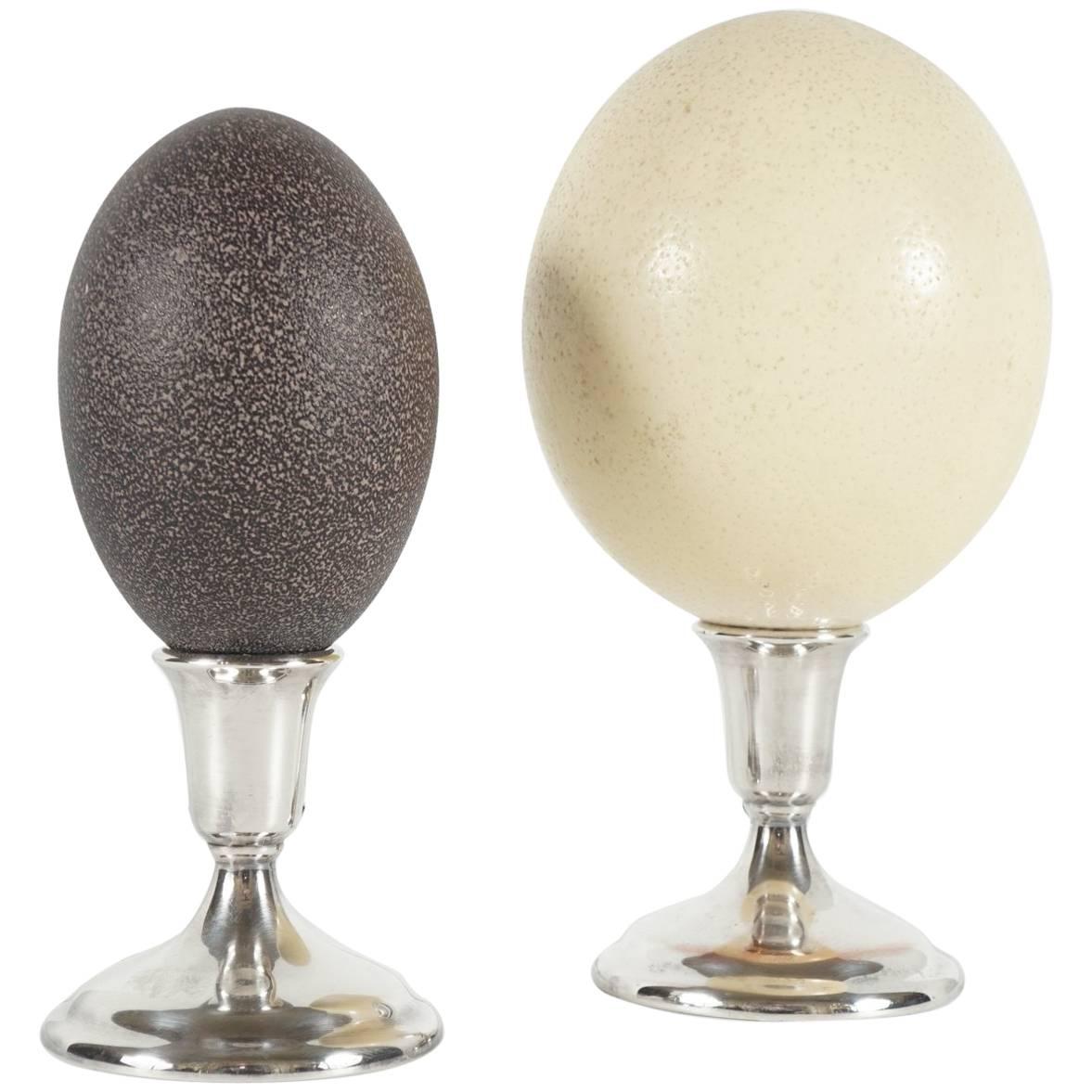 Two Specimen Eggs Mounted on Silver Bases