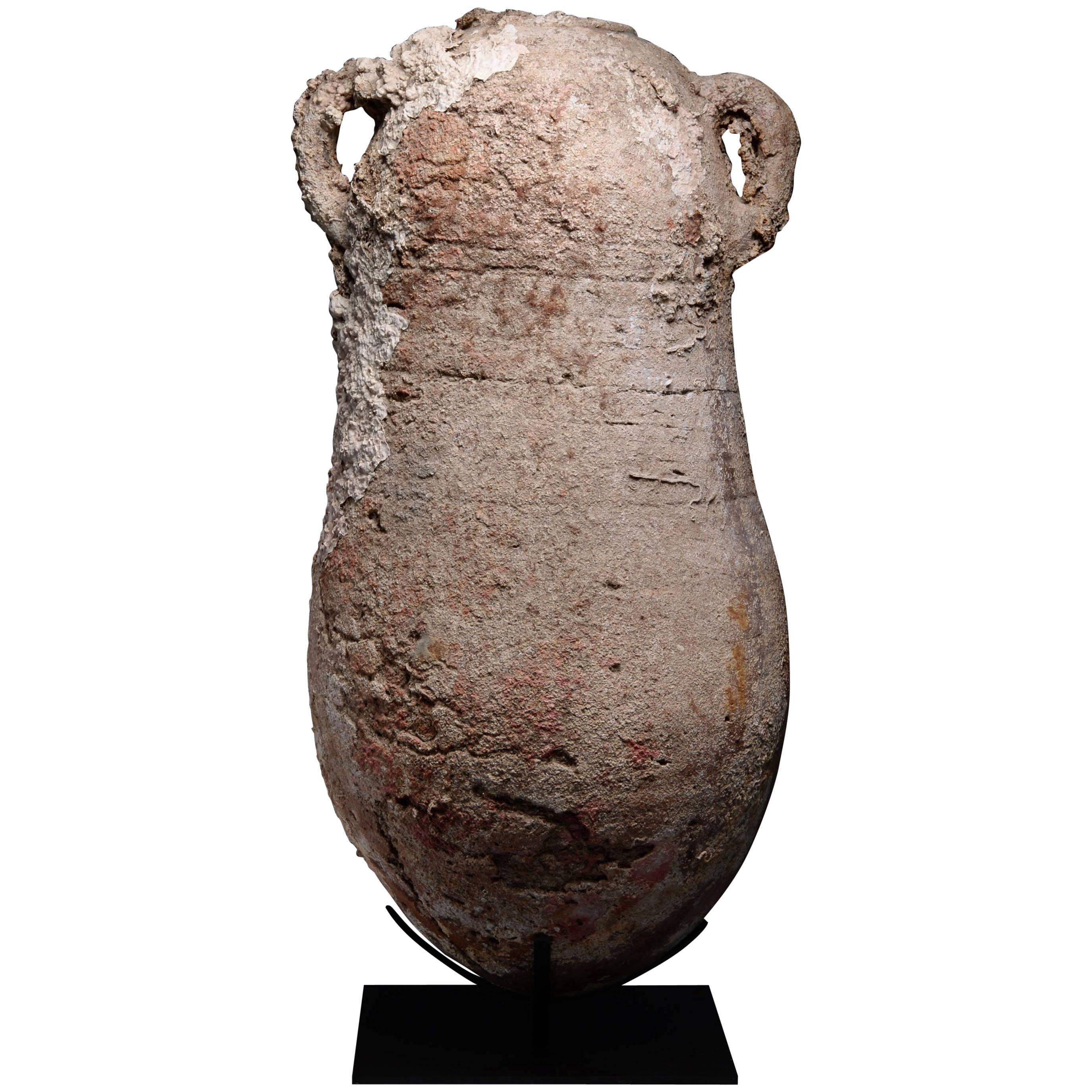 Large Ancient Roman Shipwreck Salvaged Amphora, 100 AD