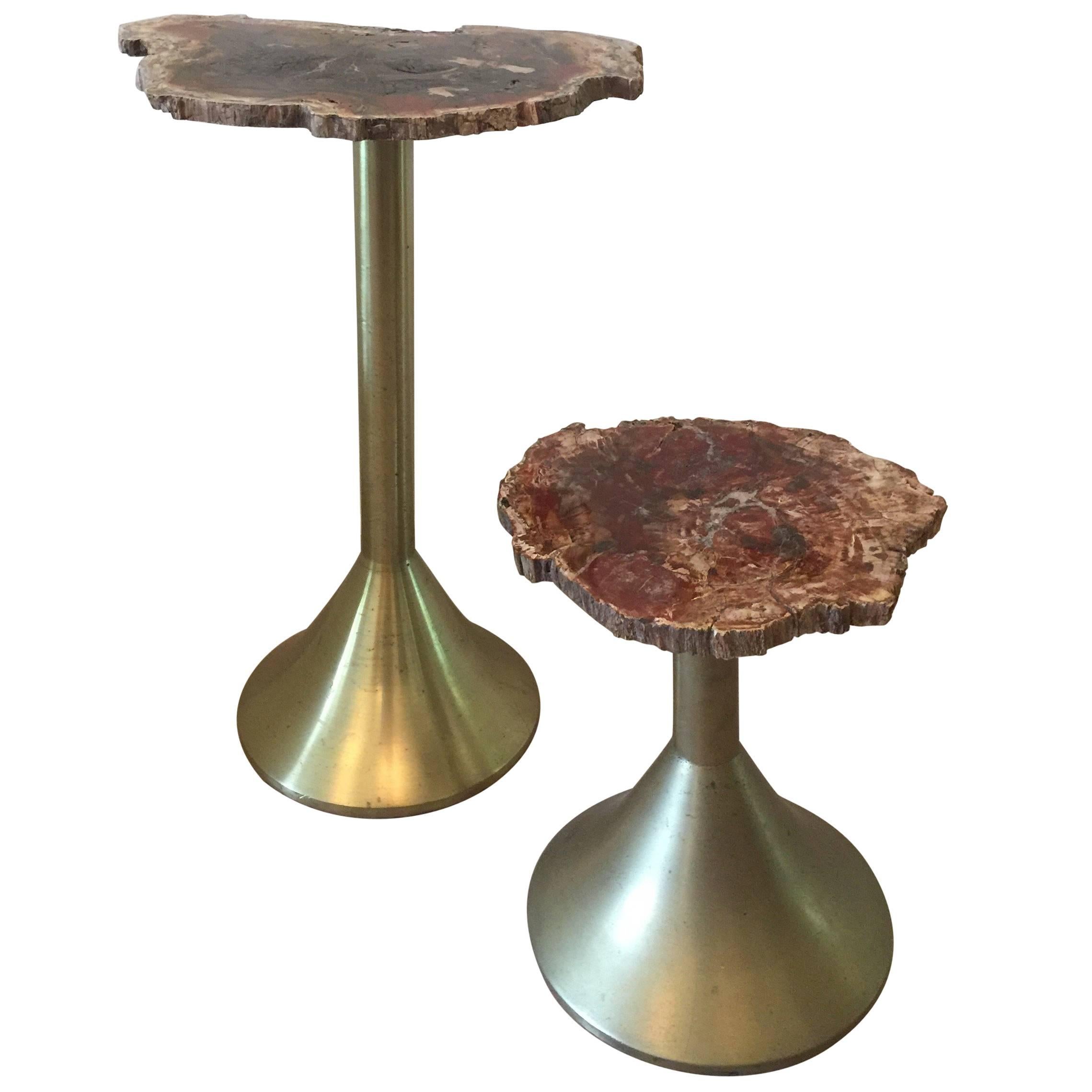 Pair of Solid Brass and Petrified Wood Occasional Tables