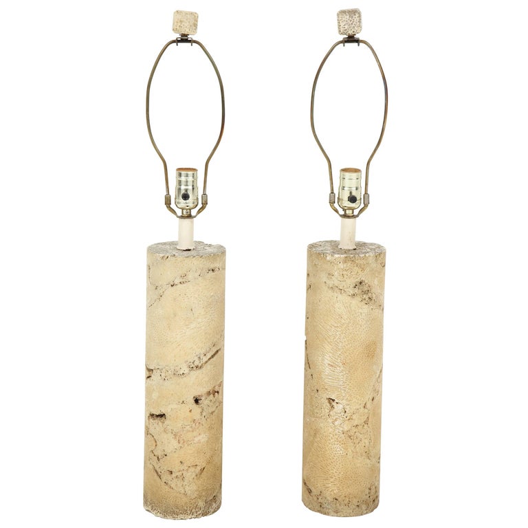 Pair of Fossil Coral Lamps at 1stDibs | fossil lamps, osrs antique lamp,  fossil lamps osrs