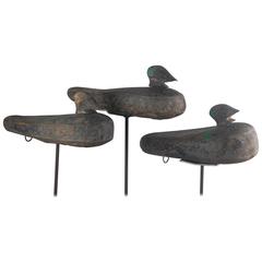 Antique Rig of Early 20th Century Tin Duck Decoys