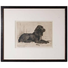 Merveilleux dessin stylo et encre signé du XIXe siècle représentant un chien, signé Marion Harrier