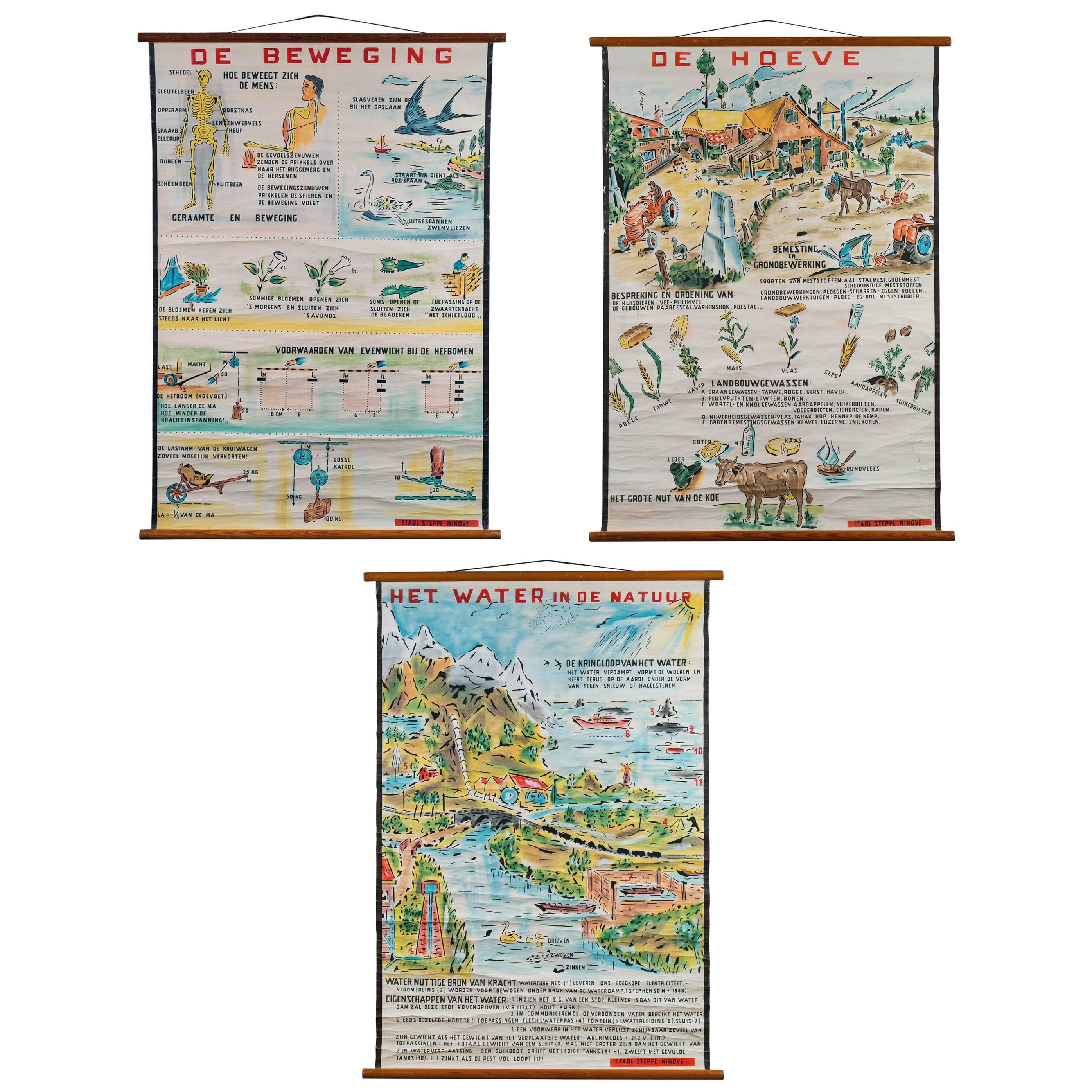 Set of Three Hand-Painted Wall School Charts from the Netherlands
