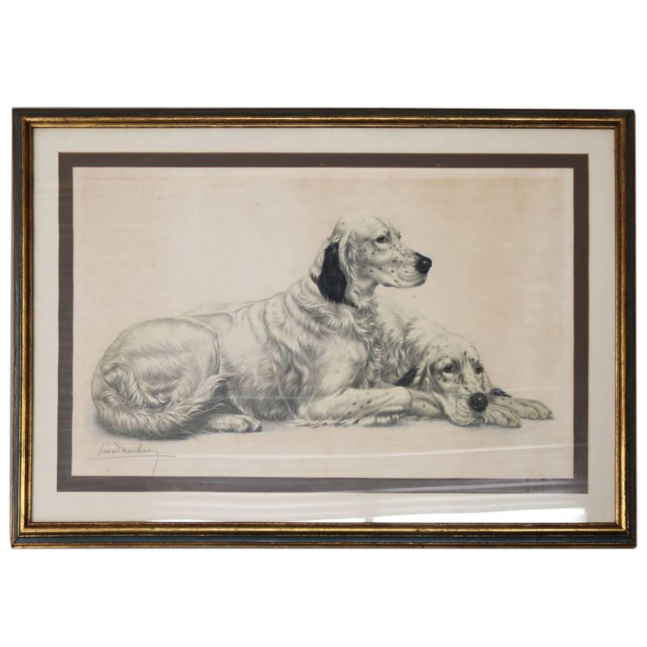 Leon Danchin, gravure surdimensionnée encadrée et matée de setters anglais