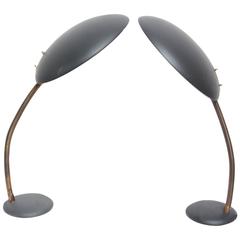 Pair of Adjustable Table Lamps by Louis Kalff for Philips