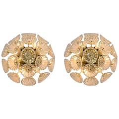 Set of Starbust Sputnik Glass Flower Wall Lights 11