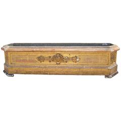 Very Large Carved and Gilded English Planter with Zinc Liner, circa 1850 2
