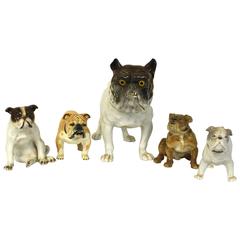 Collection of Porcelain Bulldogs
