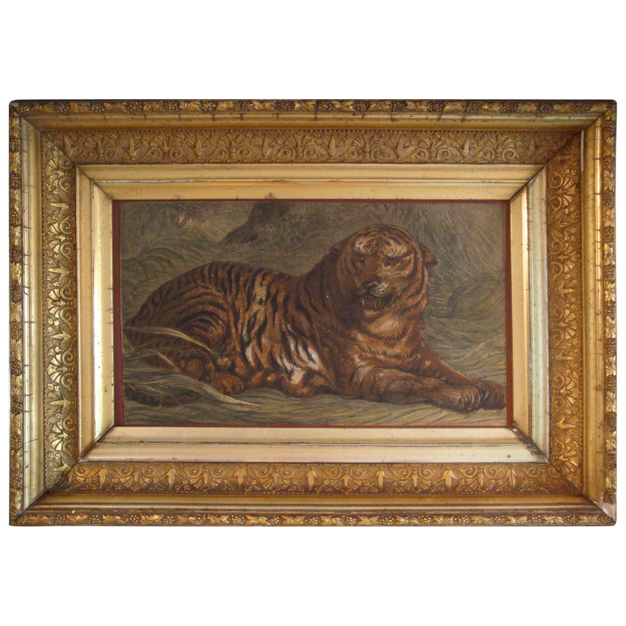 19th Century, Tiger Engraving with Antique Gilt Frame