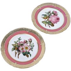Pair of 19th Century Pink Ground Paris Porcelain Botanical Tazzas or Cake Stands 5